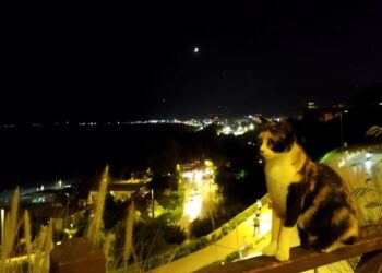 Radyo Tiyatrosu: Kimin Nişanlısı | Komedi