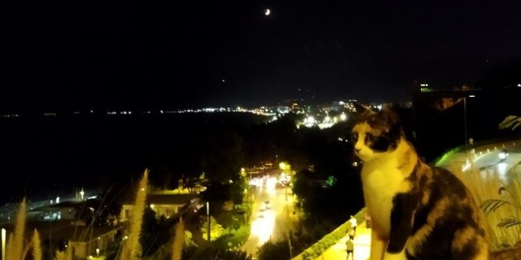 Radyo Tiyatrosu: Kimin Nişanlısı | Komedi