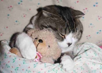 11 Mektup | Arkası Yarın