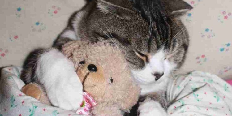 11 Mektup | Arkası Yarın