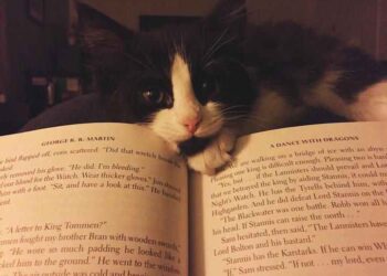 Benoni ile Rosa  | Arkası Yarın