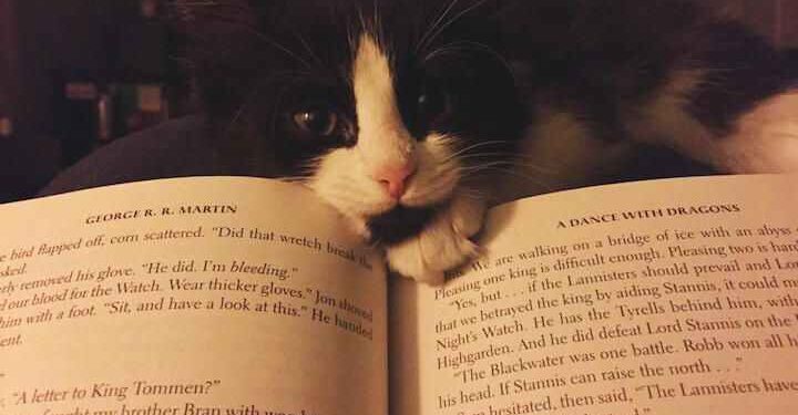 Benoni ile Rosa  | Arkası Yarın