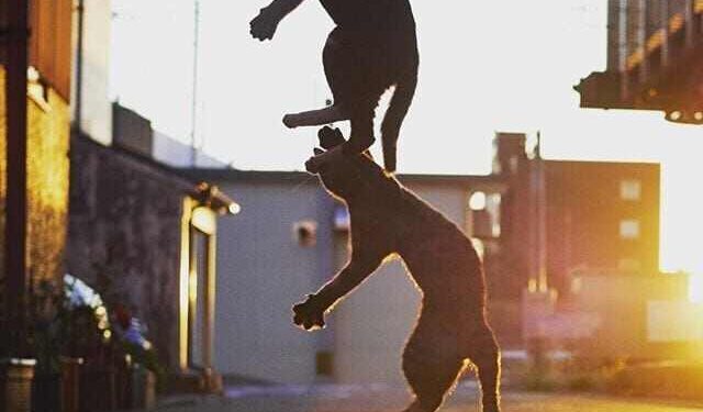 Bir Bebek Evi Nora | Arkası Yarın