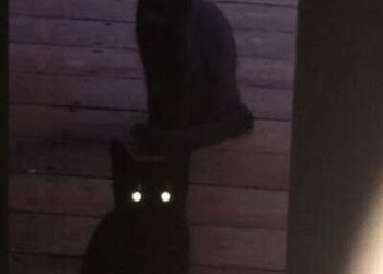 Bir Genç Kız Yetişiyor | Arkası Yarın