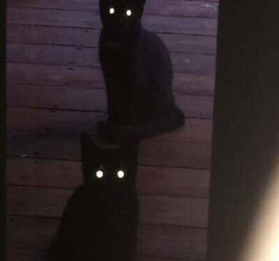 Bir Genç Kız Yetişiyor | Arkası Yarın