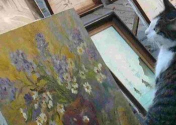 Çalıkuşu | Arkası Yarın