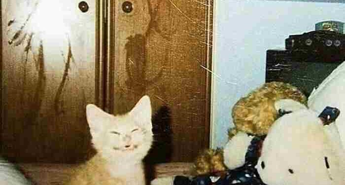 Dikenli Yol  | Arkası Yarın