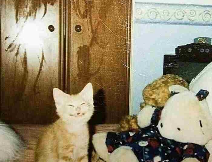 Dikenli Yol  | Arkası Yarın