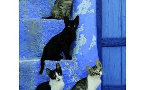 Doğanın Son Cenneti  | Arkası Yarın