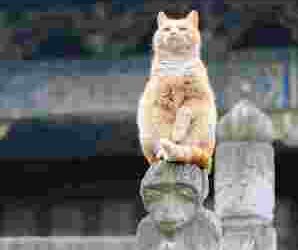 Eski Bir Dost | Arkası Yarın