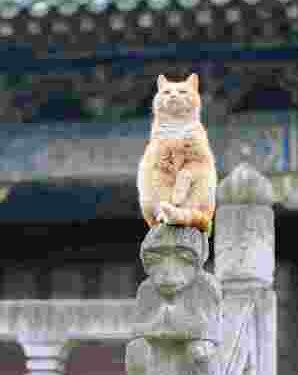 Eski Bir Dost | Arkası Yarın