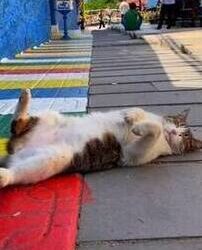 Gerçek | Arkası Yarın