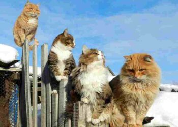 Hayatın Esiriyiz  | Arkası Yarın