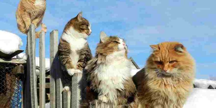 Hayatın Esiriyiz  | Arkası Yarın