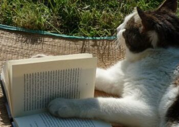 Kader Böyle İstedi | Arkası Yarın