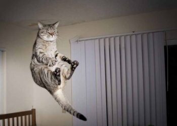 Katilini Yakalatan Kurban | Arkası Yarın