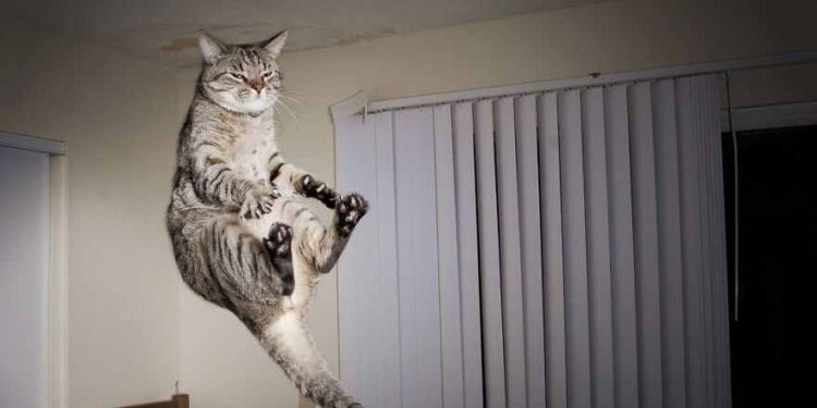 Katilini Yakalatan Kurban | Arkası Yarın