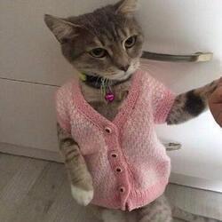 Mavi Taşlı Yüzük  |  Polisiye