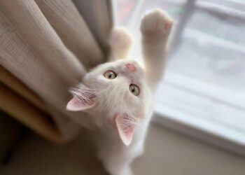 Dalgalar Dinince | Macera