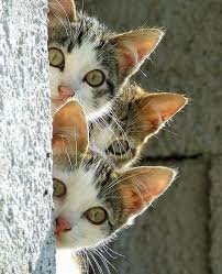 Havalının Biri | Arkası Yarın