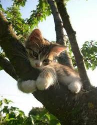 Hoş Geldin Bahar | Arkası Yarın