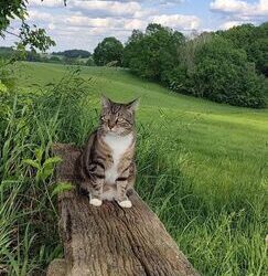 Bereket Dağı | Macera