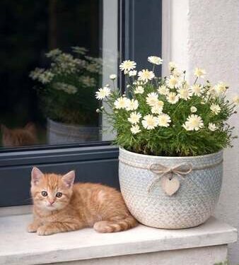 Çürümüşler | Arkası Yarın