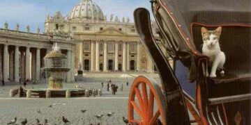 Dünya Malı Dünyada Kalır | Arkası Yarın