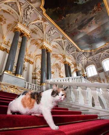 Finten | Arkası Yarın