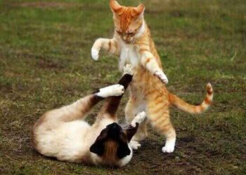 Geç Gelen Pişmanlık | Arkası Yarın