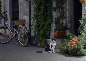 Önce Sevgi | Arkası Yarın