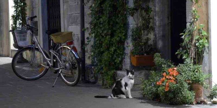 Önce Sevgi | Arkası Yarın