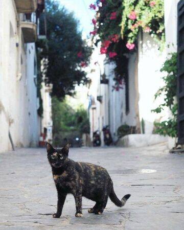 Sessizliğin Öbür Yüzü | Arkası Yarın