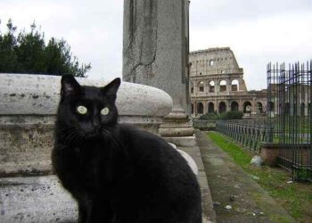 Sisli Günler | Arkası Yarın